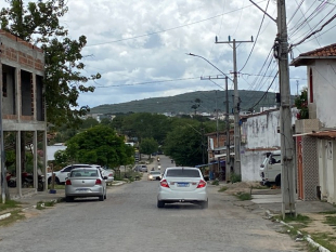 Burros que seriam abatidos em frigorífico de MG morrem após